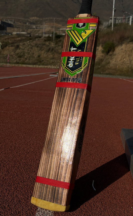 Hard Tennis Bats: Versatile and Fun!