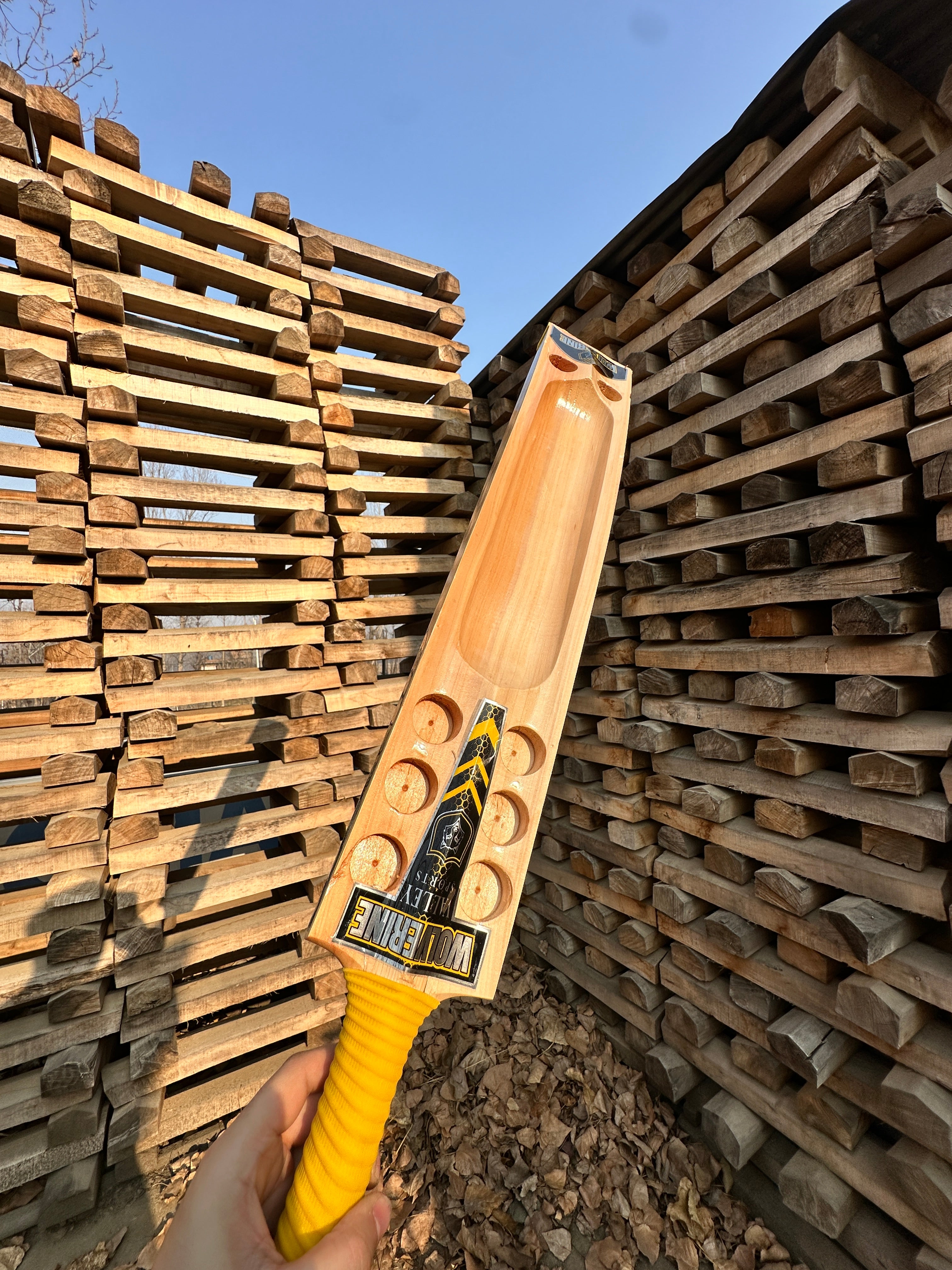 Wolverine Hard Tennis Bat Gold Edition