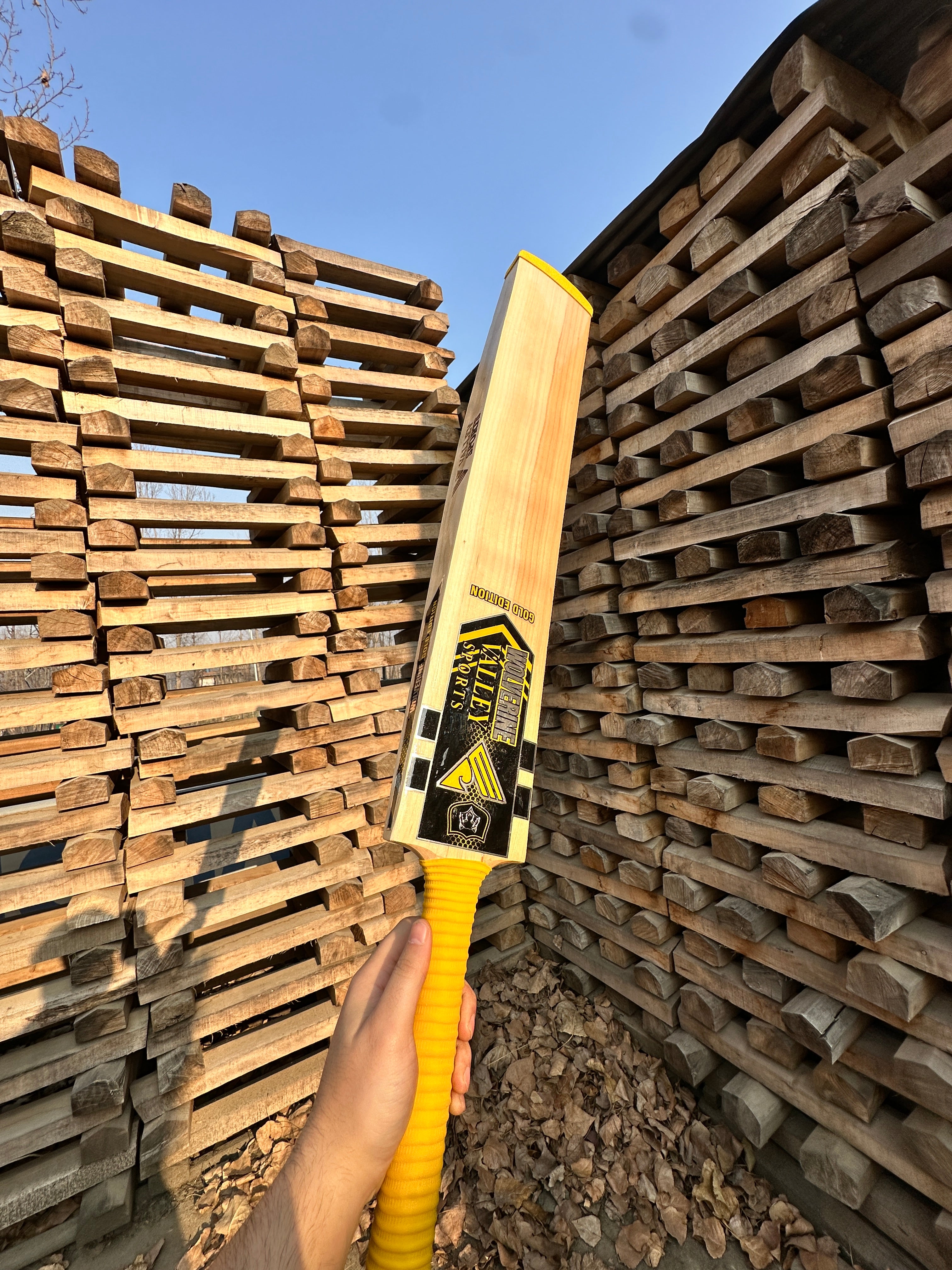 Wolverine Hard Tennis Bat Gold Edition