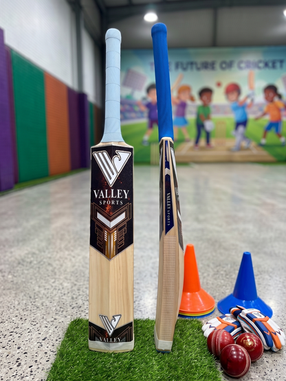 Kids Season Bat (Top Grade Kashmir Willow)
