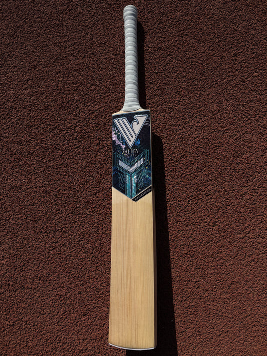 Player's Edition English Willow Bat